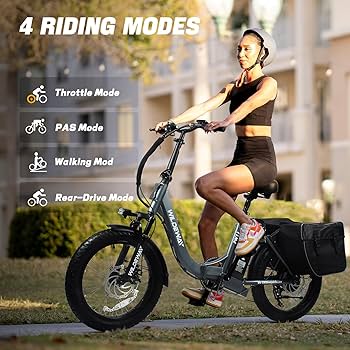 Wildeway Electric Bike for Adults 48V 720Wh Peak 800W Long